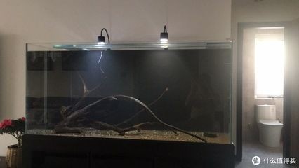底濾魚缸水渾濁的處理方法：底濾魚缸水渾濁可能是由多種原因引起的，處理方法包括方法