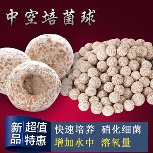 寵翰魚缸益菌屋好嗎：寵翰魚缸益菌屋與其他品牌對比