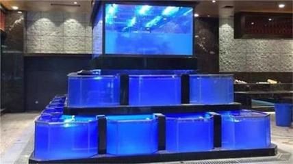 福鼎魚缸定制服務：水族館設計理念解析水族館設計理念解析水族館設計理念解析
