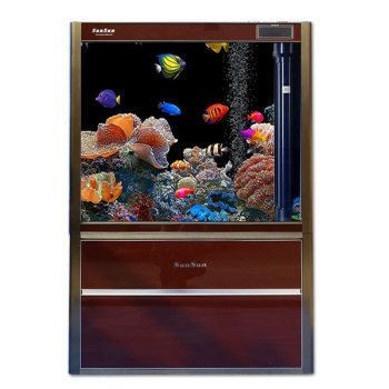 養龍魚用什么品牌魚缸