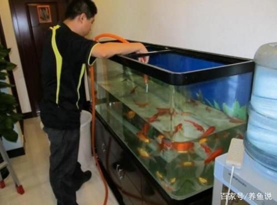 魚缸消毒的最佳實踐方法：魚缸消毒后如何快速恢復生態高錳酸鉀消毒對魚的影響 魚缸消毒的最佳實踐方法：魚缸消毒后如何快速恢復生態高錳酸鉀消毒對魚的影響 魚缸百科 第5張