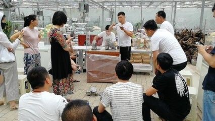 廣州魚缸造景培訓機構哪家好：尋找廣州魚缸造景培訓機構時可以參考以下幾個機構
