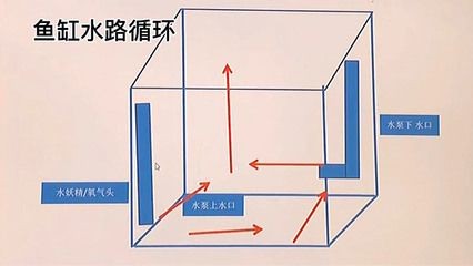 魚缸水泵的原理：魚缸水泵的基本結構和工作原理