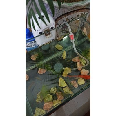 魚缸增氧泵怎么安裝視頻教程全集下載（魚缸增氧泵怎么安裝）