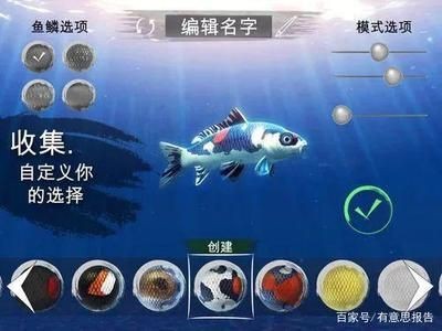 龍魚游泳搖搖晃晃：龍魚游泳搖搖晃晃可能由多種因素引起龍魚游泳不穩定