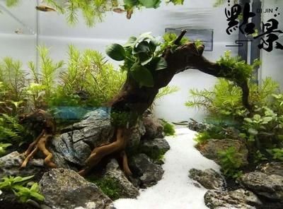 拱形沉木魚缸造景的詳細(xì)信息：拱形沉木魚缸造景是一種常見的水族箱裝飾方式