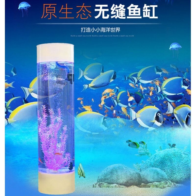 選擇海洋生態魚缸時應綜合考慮材質、尺寸、品牌和價格等因素：如何選擇生態魚缸 選擇海洋生態魚缸時應綜合考慮材質、尺寸、品牌和價格等因素：如何選擇生態魚缸 魚缸百科 第1張