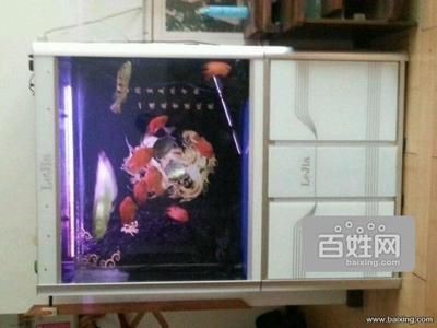 懷柔區有多家店鋪和市場出售魚缸，水族箱養護技巧和知識：<strong><mark>北京</mark></strong>懷柔區多家店鋪和市場出售魚缸