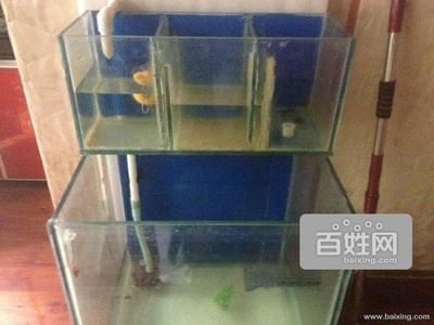 懷柔區有多家店鋪和市場出售魚缸，水族箱養護技巧和知識：北京懷柔區多家店鋪和市場出售魚缸