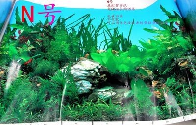 魚缸圖片 造景