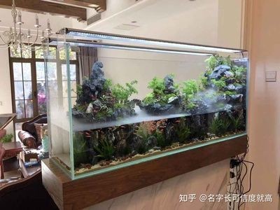 魚缸圖片 造景