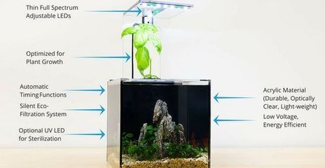 如何降低魚缸水分蒸發(fā)：如何減少魚缸水分蒸發(fā) 如何降低魚缸水分蒸發(fā)：如何減少魚缸水分蒸發(fā) 魚缸百科 第2張