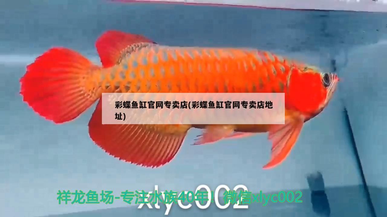 彩蝶魚缸官網專賣店(彩蝶魚缸官網專賣店地址)