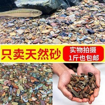 好魚缸多少錢一斤（好魚缸多少錢一斤小型魚缸的價格較為適中一般在幾百元左右）