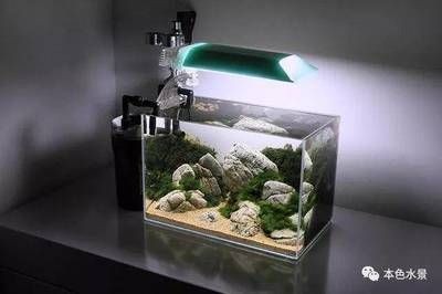 龜紋石在魚缸造景中的運用：龜紋石在魚缸造景中具有獨特的魅力和應用和應用方式