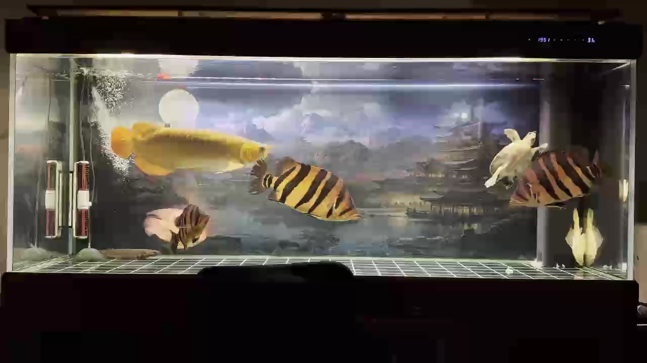 算一算
