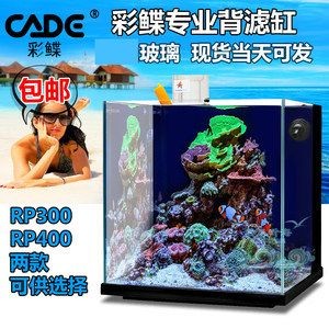 魚缸珊瑚發黃怎么辦：關于魚缸珊瑚發黃的解決辦法