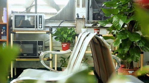 如何給鬼王雷龍做體檢，如何給鬼王雷龍做水質檢測