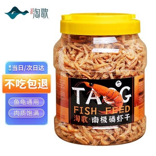 如何給鬼王雷龍做體檢，如何給鬼王雷龍做水質檢測