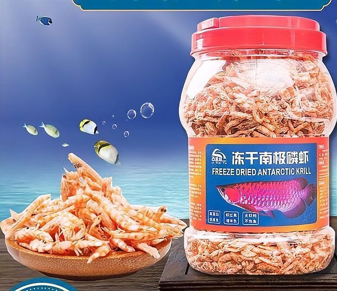 銀龍魚魚糧什么牌子好吃又便宜