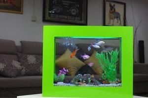 魚缸里的恒溫器是放在哪里：如何檢測魚缸水溫準確性，魚缸加熱棒故障排查方法，魚缸恒溫器節能技巧