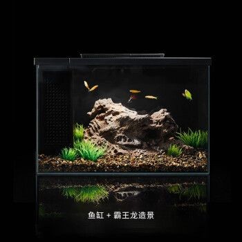 小佩魚缸pro過濾改造：小佩魚缸pro過濾系統(tǒng)改造案例分享小佩魚缸pro濾材選擇指南