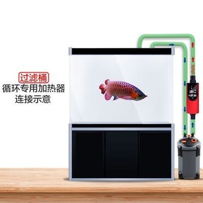 底濾魚缸加熱棒的擺放位置對于魚缸水溫控制至關重要：養魚新手的加熱棒選購指南 底濾魚缸加熱棒的擺放位置對于魚缸水溫控制至關重要：養魚新手的加熱棒選購指南 魚缸百科 第3張