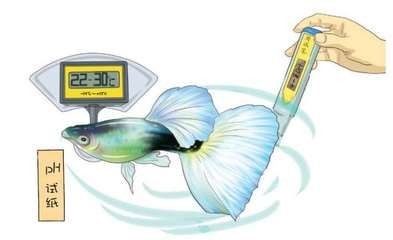 淡水魚魚缸溫度調節魚缸溫度對水溫的影響有所不同:淡水魚的水溫調節方法 魚缸百科 第1張 淡水魚魚缸溫度調節魚缸溫度對水溫的影響有所不同:淡水魚的水溫調節方法 淡水魚魚缸溫度調節魚缸溫度對水溫的影響有所不同:淡水魚的水溫調節方法 魚缸百科 第1張