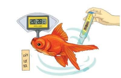 淡水魚魚缸溫度調節魚缸溫度對水溫的影響有所不同：淡水魚的水溫調節方法 淡水魚魚缸溫度調節魚缸溫度對水溫的影響有所不同：淡水魚的水溫調節方法 魚缸百科 第2張