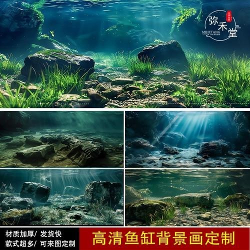 龍魚魚缸壁紙圖片 龍魚魚缸壁紙圖片 龍魚百科 第23張