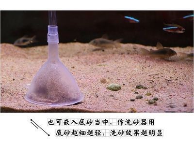 魚缸過濾器清洗注意事項:魚缸過濾器清洗的注意事項 魚缸百科 第5張 魚缸過濾器清洗注意事項:魚缸過濾器清洗的注意事項 魚缸過濾器清洗注意事項:魚缸過濾器清洗的注意事項 魚缸百科 第5張
