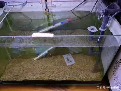 魚缸水質檢測儀器維護方法：魚缸水質檢測儀器的維護方法
