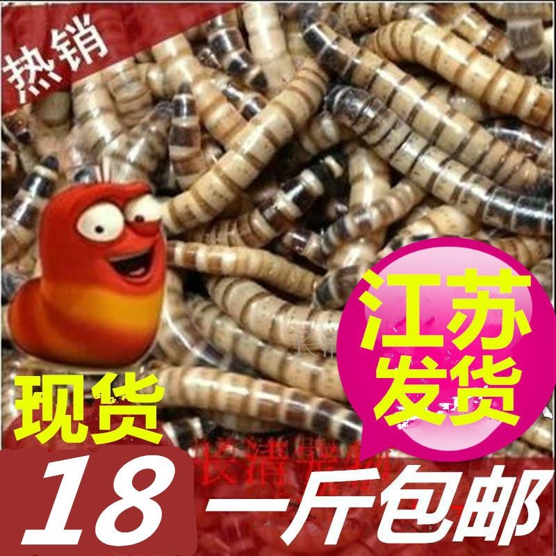 森森大麥蟲(chóng)飼料的具體使用方法