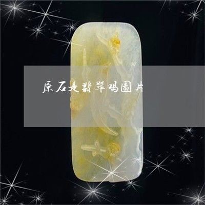 飼料 翡翠原石的養(yǎng)護(hù)之道翡翠原石的養(yǎng)護(hù)之道翡翠原石的養(yǎng)護(hù)之道:翡翠原石養(yǎng)護(hù)之道 魚缸百科 翡翠原石的養(yǎng)護(hù)之道翡翠原石的養(yǎng)護(hù)之道翡翠原石的養(yǎng)護(hù)之道:翡翠原石養(yǎng)護(hù)之道 翡翠原石的養(yǎng)護(hù)之道翡翠原石的養(yǎng)護(hù)之道翡翠原石的養(yǎng)護(hù)之道:翡翠原石養(yǎng)護(hù)之道 魚缸百科