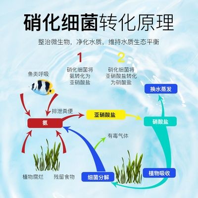 魚缸凈水劑的使用方法：如何選擇合適的魚缸凈水劑，魚缸凈水劑與過濾系統的配合