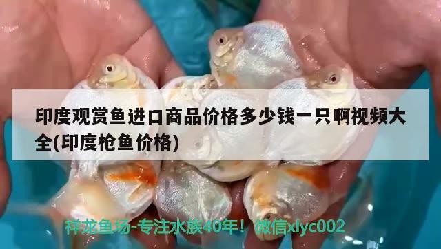 滑縣龍情花卉店