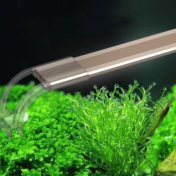 佳璐魚缸燈：佳璐魚缸燈安裝使用教程水族箱照明選擇指南