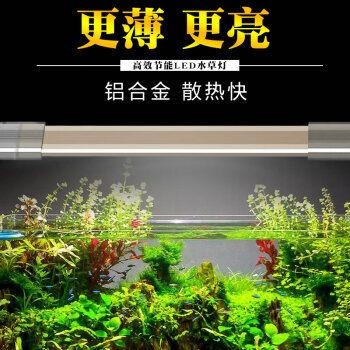 佳璐魚缸燈：佳璐魚缸燈安裝使用教程水族箱照明選擇指南