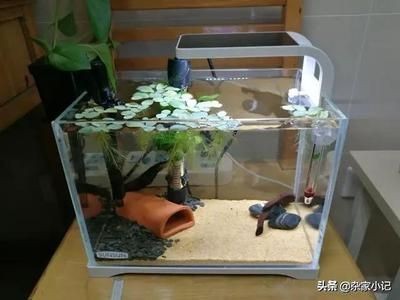 魚缸售后電話（德克魚缸售后電話）