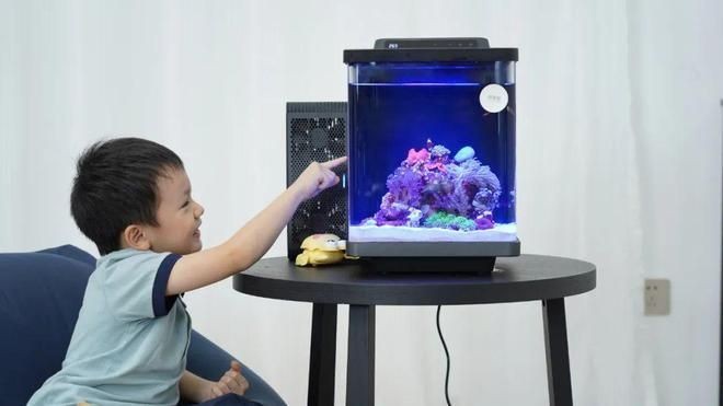 海享說魚缸制冷不行：海享說魚缸制冷不足如何應(yīng)急處理魚缸制冷設(shè)備升級建議
