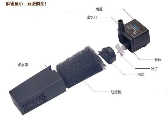 魚缸過濾系統(tǒng)選型建議：魚缸過濾器選型建議