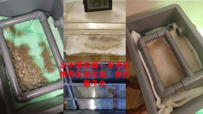 閩江魚缸過濾材料擺放順序圖片：閩江魚缸的過濾材料擺放順序是影響水質的關鍵因素 閩江魚缸過濾材料擺放順序圖片：閩江魚缸的過濾材料擺放順序是影響水質的關鍵因素 魚缸百科 第1張