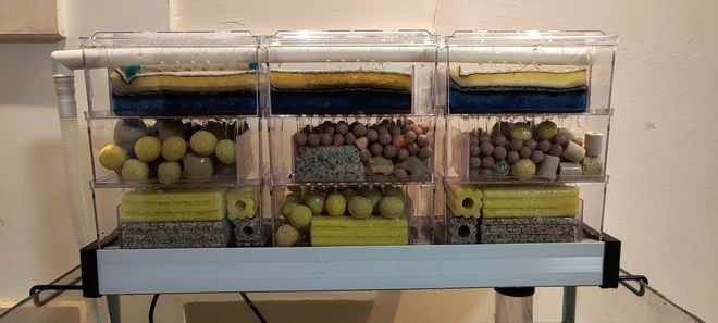 閩江魚缸過濾材料擺放順序圖片：閩江魚缸的過濾材料擺放順序是影響水質的關鍵因素 閩江魚缸過濾材料擺放順序圖片：閩江魚缸的過濾材料擺放順序是影響水質的關鍵因素 魚缸百科 第5張