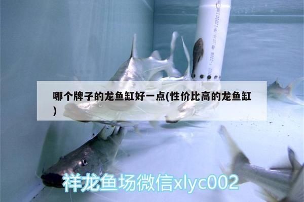 哪個(gè)牌子龍魚缸好一點(diǎn)又實(shí)惠的，知名龍魚缸品牌介紹