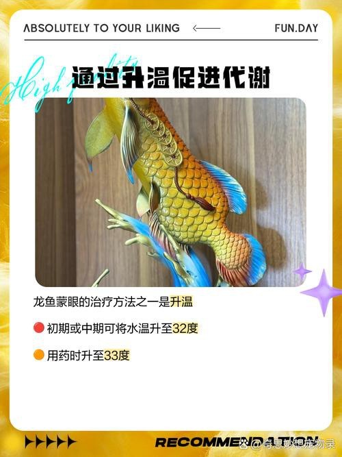 有哪些龍魚專用眼藥水推薦？