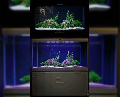 定制亞克力魚缸的價格：定制亞克力魚缸價格