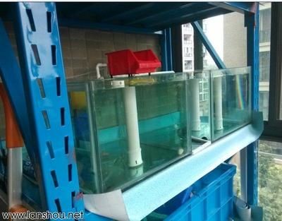 魚缸過濾器怎樣安裝出水快一點視頻（魚缸過濾器安裝步驟）