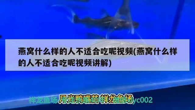 福清市三山鎮張祥觀賞魚店