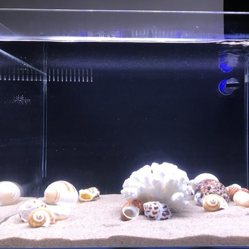 魚缸底砂選擇海沙是一種常見的魚缸底砂選擇技巧養魚愛好者都知道：海沙在魚缸中的作用