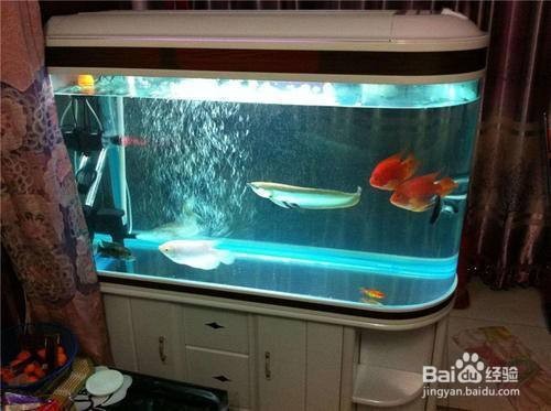 唐山市高新技術產業開發區芳草居水族商行（唐山芳菲園林苗木銷售有限公司）
